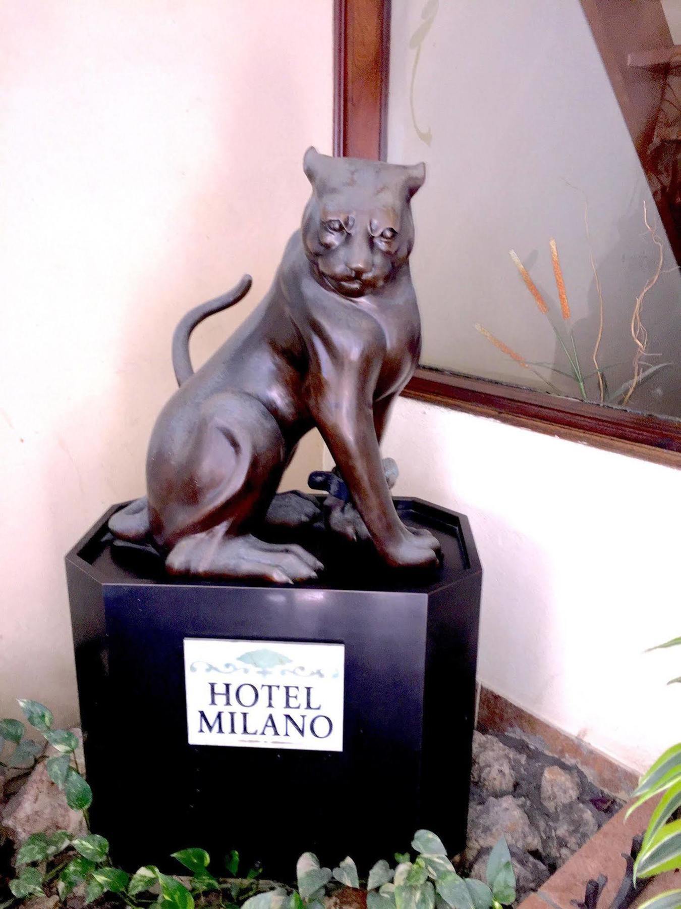 Hotel Milano San Juan Eksteriør bilde